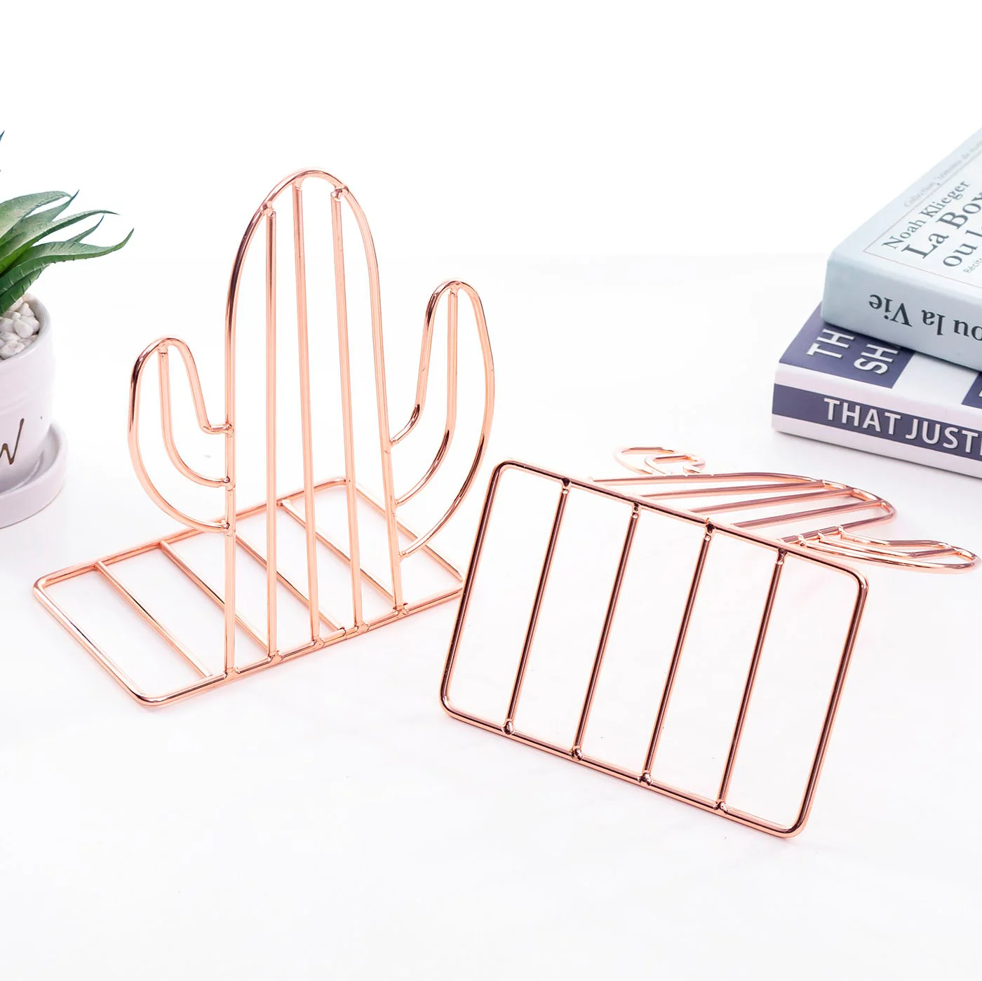 Cactus Bookends - Image 9
